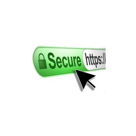 Certificat SSL/TLS 1.2/httpS - Améliorez la sécurité pour vos clients et votre référencement Google